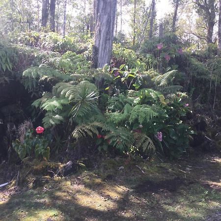 Simply Convenient Tropical Country Studio Mountain View Dış mekan fotoğraf
